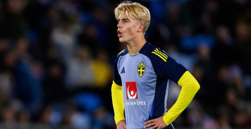 团队协作的 团队协作的