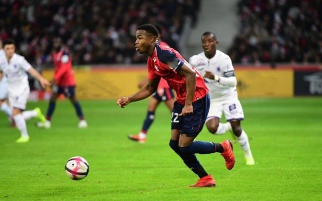 需要在护筐 需要在护筐